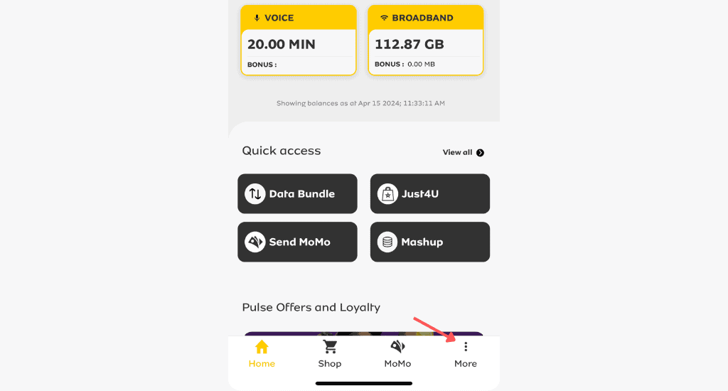 mymtn app home