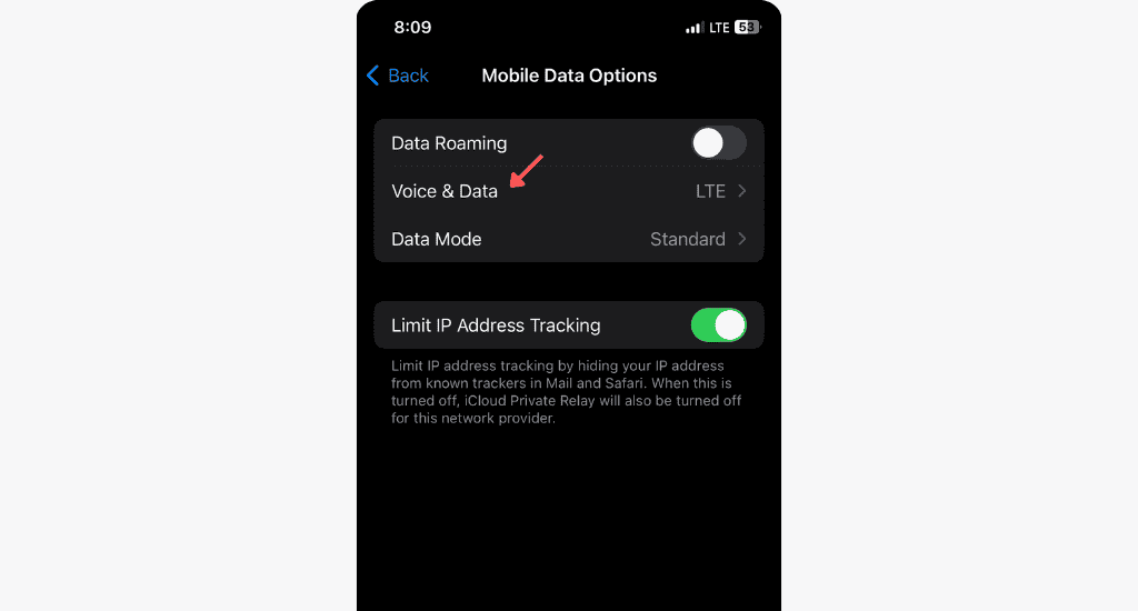 ios mobile data options