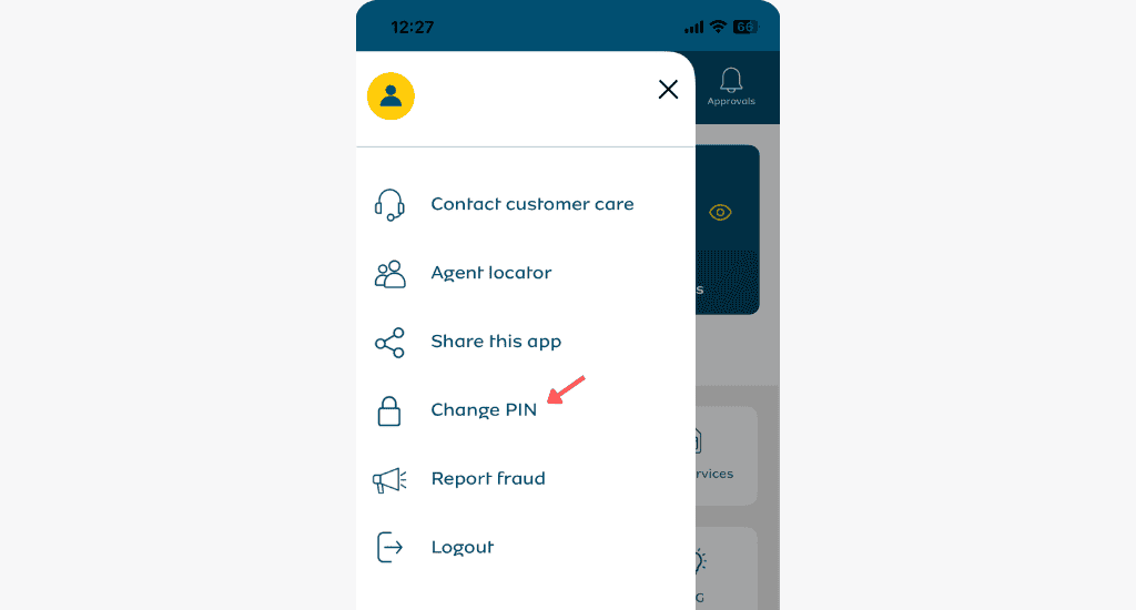 mtn momo app account menu