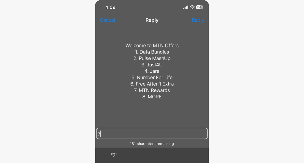 mtn offers menu