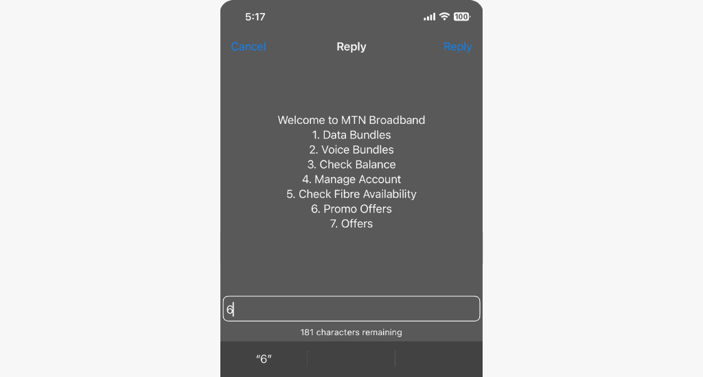 mtn broadband menu