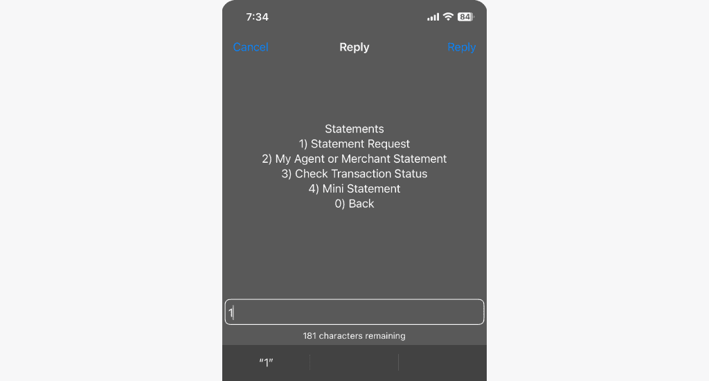 mtn momo statement request