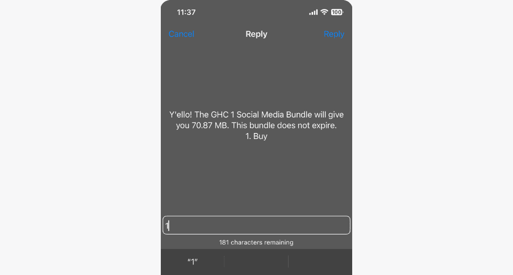 confirm mtn social media bundle package