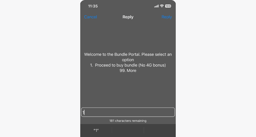 mtn bundle portal