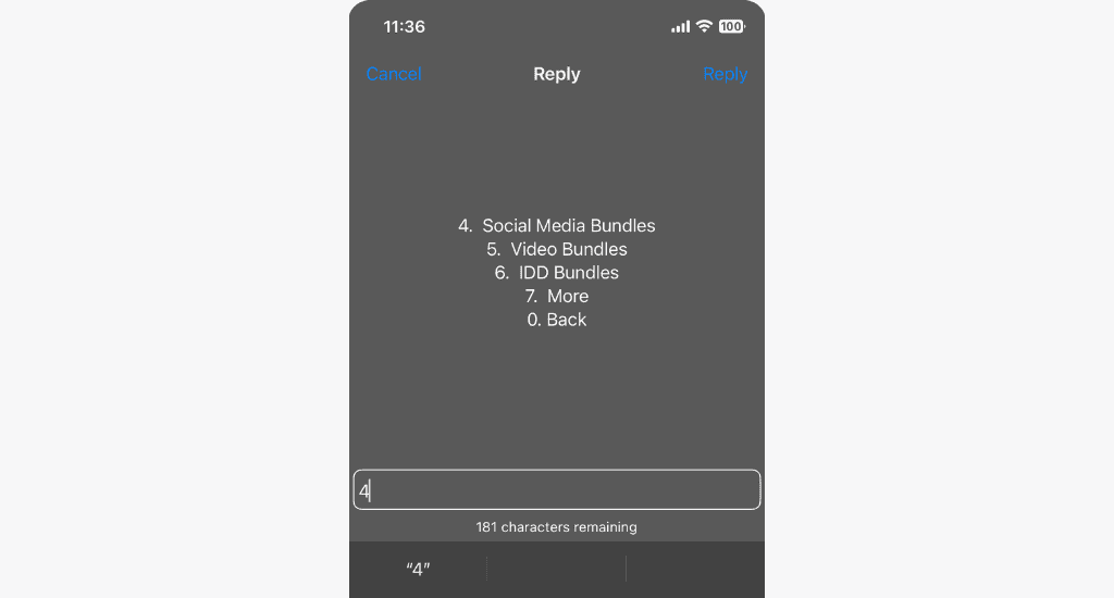 mtn data bundle options