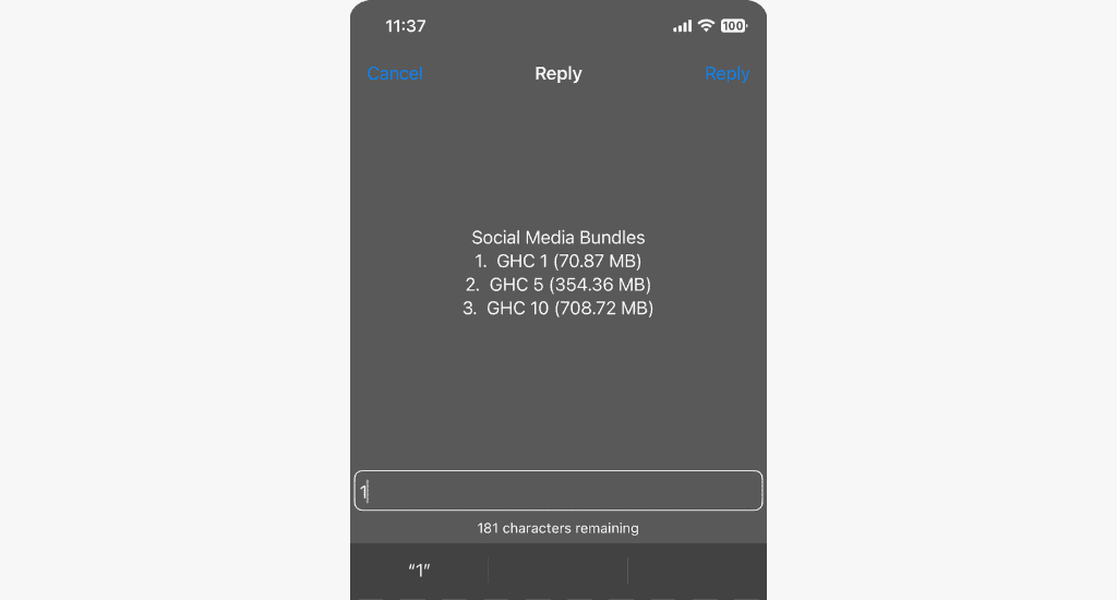 mtn social media bundle standard packages