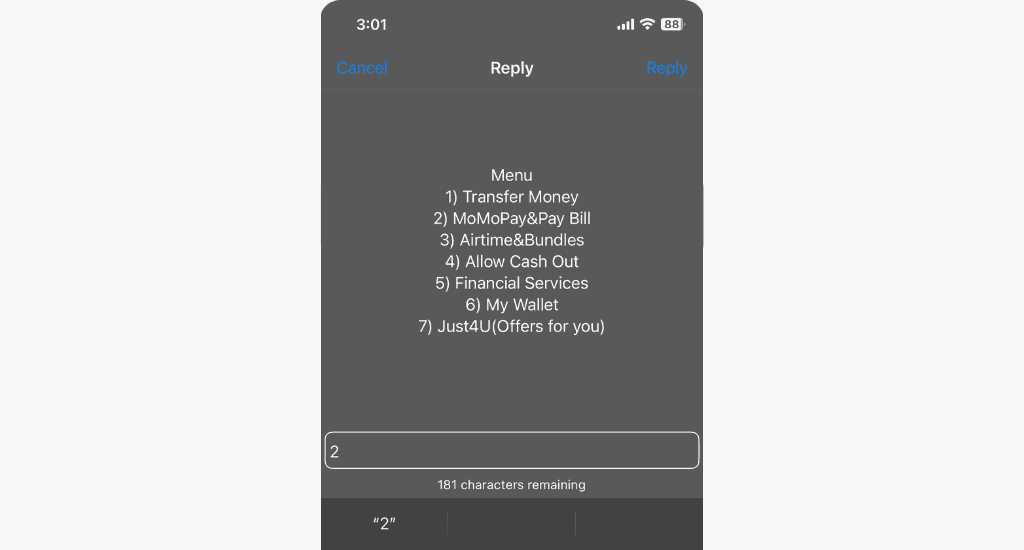mtn momo code menu