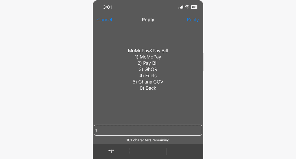 mtn momo pay