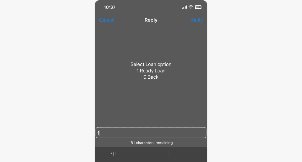 telecel cash loan options