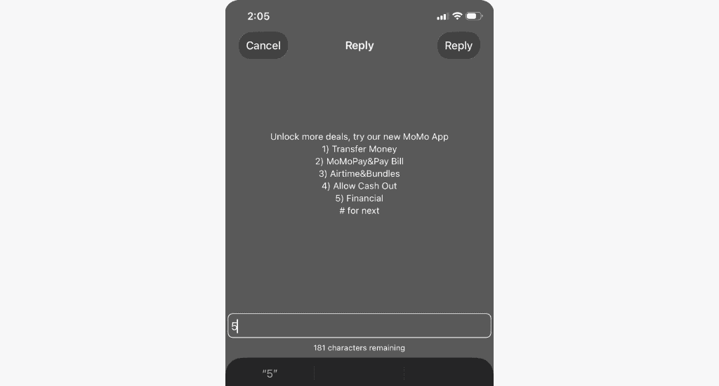 mtn momo ussd menu