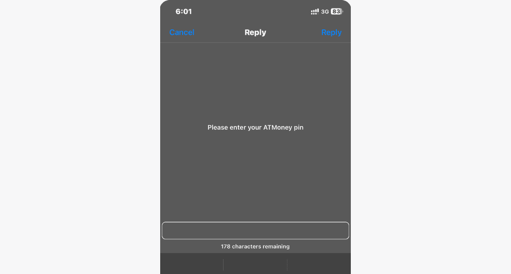 enter your atmoney pin